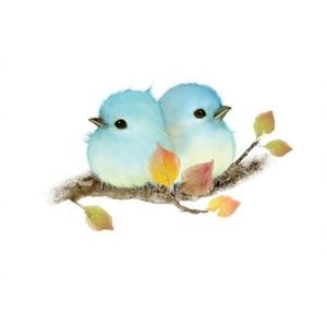 Meet your Posher, Deanna